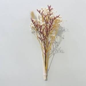 Phòng trang trí hổ phách chai thủy tinh, mây đen và DIY hoa khô Set - Product Image 6