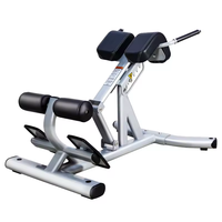 XOYOOU Banc d'hyperextension romain à dossier réglable, machine d'entraînement musculaire pour la musculation à domicile, vente chaude