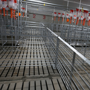 Ejoy Jaulas de Gestación para Cerdas Galvanizadas en Caliente para Granjas de Cría de Cerdos - Product Image 1