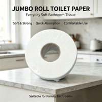 Papier toilette jetable écologique 2/3 plis en pâte de bois vierge, rouleaux de papier pour salle de bain, export en vrac avec service personnalisé