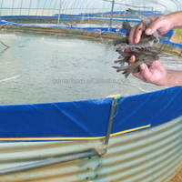 SDM ferme poisson eau Pvc Biofloc Litre piscine pour l'élevage Biofloc homard bâche Flexible eau pliable réservoir