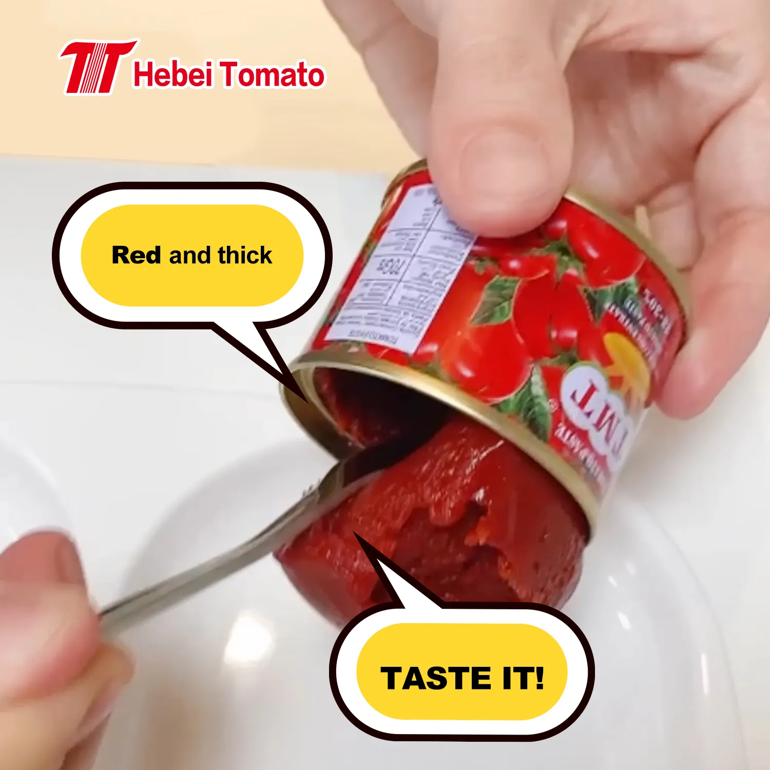 Honnête société en conserve pâte de tomate aseptique entièrement automatique pâte de tomate prix 70g 400g 28-30% concentrations