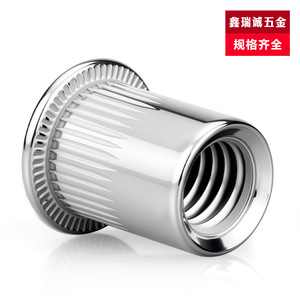 Xinruicheng Kit d'inserts à rivets moletés en acier inoxydable 304 M3 M4 M5 M6 M8 M10 M12 à tête plate pour équipement de communication - Product Image 3