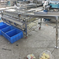 Blauwe bessen sorteermachine, fruit- en tomatensorteermachine, appel-, citrus- en uienselektor, fruit sorteermachine