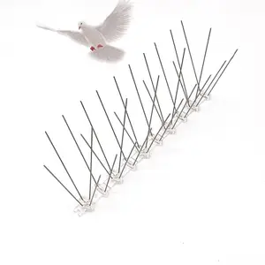 Pestrol espinhos de pássaro em policarbonato, espinhos de pássaro caseiros
