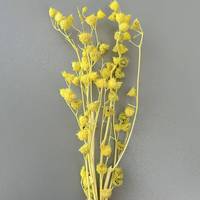 Großhandel für Blumenarrangements: Natürlich lang haltbare, konservierte Jahresringblumen für Heimdekoration und Feiertagsgeschenke