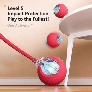Pelota eléctrica autoalimentada para perros y gatos - Product Image 3