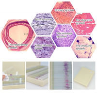 Student Parasitology Preparation Glass Hybrid Microscope Slide Set Teaching Resource for Microscope Studies Slide for Students
