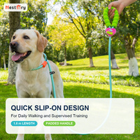 Laisse en nylon pour chien avec poignée rembourrée en mousse, laisse réglable pour la promenade en extérieur, laisse en corde, logo personnalisé, vente en gros d'articles pour animaux de compagnie