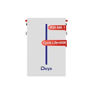 LV Deye Rw-m6.1壁挂式Lifepo4电池51.2v 120ah 6.14kwh太阳能光伏系统储能电池