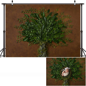 Fiori Little Baby compleanno foto artistiche sfondo tinta unita neonati bambini ritratto fotografia sfondo Studio fotografico - Product Image 6