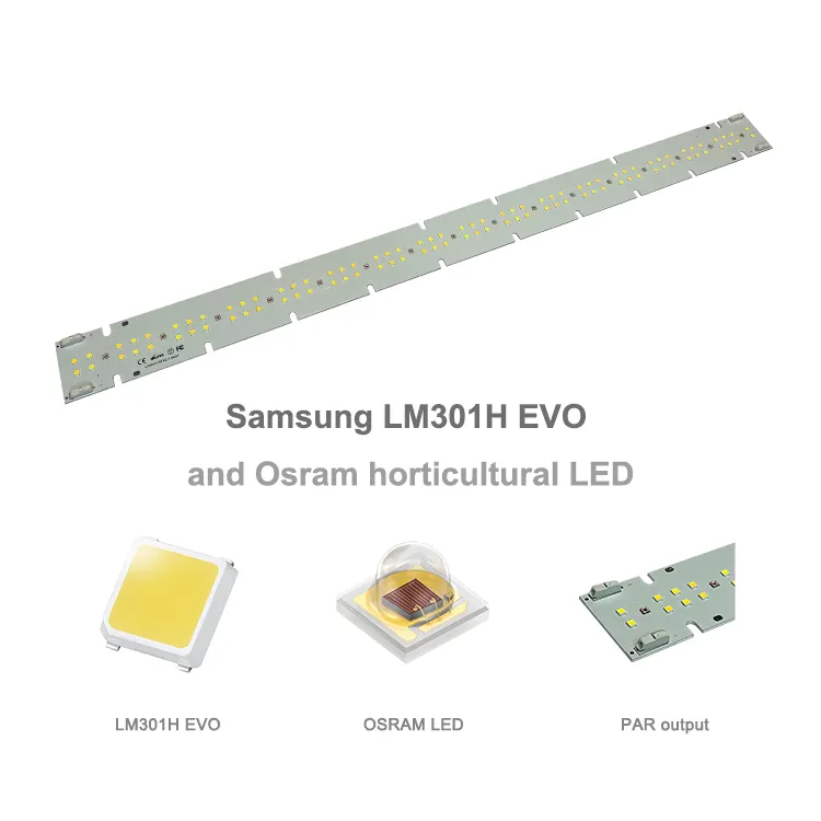 High efficiency Horticulture LED Light Engine LED linear Module plant light Samsung LM301H EVO and O-sram horticultural LED