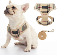 Harnais pour chien réversible et rembourré en fibre, avec logo personnalisé, design floral, gilet à pointes