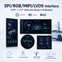 Écran LCD IPS TFT personnalisé WeiTai de 8,10'', 8,90'', 9,16'', 9,20'', 9,31'', 9,66'', 10,16'', 9,88'', 10,11 pouces pour affichage automobile
