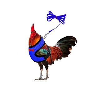 Harnais de dressage respirant en tissu pour poulets, canards et oies – Idéal pour la promenade et l'extérieur - Product Image 2