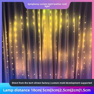 <span class=keywords><strong>ไฟ</strong></span>ม่าน LED อัจฉริยะแบบตั้งโปรแกรมได้ <span class=keywords><strong>ไฟ</strong></span>พิกเซล <span class=keywords><strong>RGB</strong></span> IC ควบคุมผ่านแอพพลิเคชั่น - Product Image 2