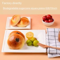 Assiettes jetables en bagasse de canne à sucre biodégradables et compostables de 10x10 pouces en gros pour les vendeurs de food trucks
