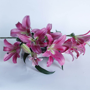 Lys dans <span class=keywords><strong>la</strong></span> Grèce antique : les lys étaient associés à <span class=keywords><strong>la</strong></span> <span class=keywords><strong>déesse</strong></span> Héra et symbolisaient <span class=keywords><strong>la</strong></span> pureté et <span class=keywords><strong>la</strong></span> <span class=keywords><strong>maternité</strong></span>. Couleurs vives. Durables. - Product Image 6