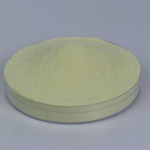 Akkermansia Muciniphila (<span class=keywords><strong>Bacterias</strong></span> AKK) 100% <span class=keywords><strong>de</strong></span> Alta Calidad, Grado Alimenticio |   Regula el Equilibrio <span class=keywords><strong>de</strong></span> <span class=keywords><strong>la</strong></span> <span class=keywords><strong>Flora</strong></span> <span class=keywords><strong>Intestinal</strong></span>, Suplemento <span class=keywords><strong>de</strong></span> <span class=keywords><strong>Bacterias</strong></span> AKK - Product Image 1