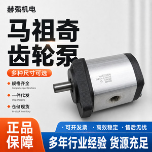 ปั๊มเกียร์ Ma Zuqi รุ่น GHP2A-D-20-FG สำหรับเครื่องทดสอบอุปกรณ์รักษาสิ่งแวดล้อม ปั๊มไฮดรอลิก - Product Image 5