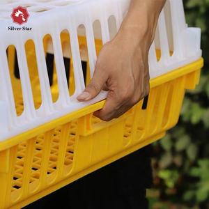 En kaliteli ucuz broiler tavuk taşıma kafesi nijerya'da satılık - Product Image 5