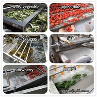 Industriële Avocado Wassen Machine Aardbei Wasmachine Groente Wasmachine