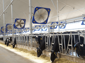 72 Inch Cowshed Hanging Exhaust Fan <b>Ventilation</b> for Dairy Cows House Barn Equipment Cow Barn - Product Image 6