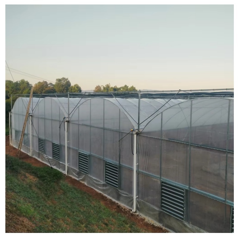 Galvanized Steel Frame Agricultural Vegetable Single