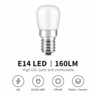 Ampoule LED E14 en céramique plastique 2835, 4 LED, 2W, 160LM, Ra>80, pilote RC, AC220-240V, certifiée CE/FCC, pour usage résidentiel
