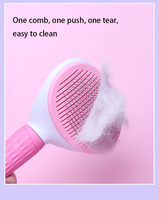Brosse Peigne pour Animaux 2024 - Nouveauté Tendance : Accessoire Portable pour l'Épilation et le Nettoyage des Poils de Chiens et Chats