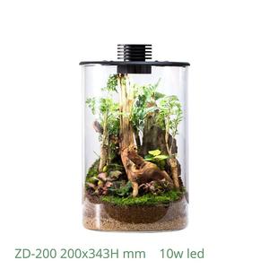 Terrario de vidrio bio cilíndrico de 5W-10W LED Mossarium para paisajismo decorativo con ventilación, 200/ - Product Image 2