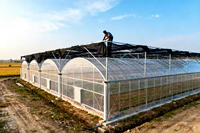 Landbouwkasconstructie multispan groenteteelt tunnel polycarbonaat kas multispan folie bloemenkas