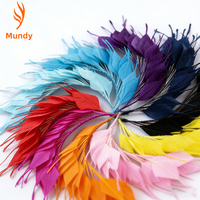 Tiges de plumes DIY pour la création de bijoux, les accents décoratifs pour la maison et les accessoires de photographie pour le carnaval et Halloween