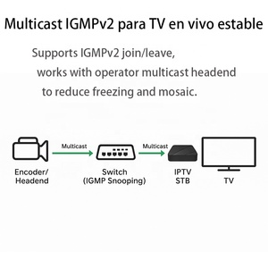 <strong>Linux</strong> IP TV Set Top Box | Xtream UI &amp; Stalkere Ministrar | IGMPv2 Multicast | UDP / HLS M3U8 | for ISP / Hotel Projects - Product Image 4