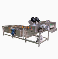 Commerciële groentewasmachine 304 roestvrij staal luchtbel fruitwasser industriële voedselverwerkingsapparatuur