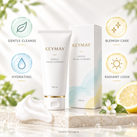 Pembersih Wajah Vitamin C Asam Hialuronat Ceramide Melembapkan Menenangkan Mencerahkan Label Pribadi OEM ODM Formula Kustom Pabrik