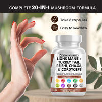 Capsules de poudre de champignon crinière de lion mélangées tout-en-un OEM pour le soutien immunitaire et la gestion de l'énergie chez l'adulte