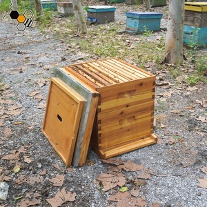 <span class=keywords><strong>Langstroth</strong></span> <span class=keywords><strong>Beehive</strong></span> 10 bingkai, perlengkapan sarang lebah lengkap Kit sarang lebah madu kayu untuk lebah - Product Image 5