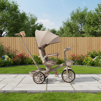 Tricycle pliable pour enfants avec auvent, poignée de poussée pour contrôle parental, poussette convertible, chariot pour tout-petits, plastique, métal, tissu