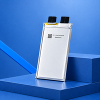 Sel Baterai Solid State 66000mAh 360Wh/kg 3.7V 3C Langsung dari Pabrik, Dapat Disesuaikan Tegangan & Kapasitas untuk FPV Racing & Freestyle UAV
