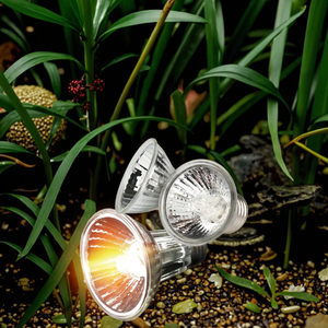 Лампа для обогрева Zephyr 25W 50W 75W, УФ-галогенная, экологичная, UVA UVB 3.0, полноспектральная, для рептилий, для черепах, точечная лампа для загара - Product Image 5