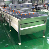 Industriële Wasmachine Wortel 500 Kg/u Luchtbel Aardappel Schoonmaken Fruit Wasmachine Groente Reinigingsmachine