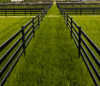 Rail de corral pour chevaux en acier haute résistance, conception anti-accrocs pour une enclos équestre sécurisée