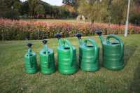 Arrosoir en plastique de 3 L, écologique, durable, en PE, portable, pour l'intérieur et le jardin