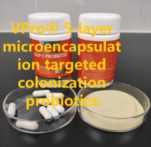 Helpgut GLP-1 cân & sức khỏe trao đổi chất Probiotic Prebiotic viên nang postbiotic 50 tỷ tfu + CFU 30 viên/chai HDPE - Product Image 4