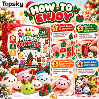 Jouets anti-stress pour adultes : Sac mystère de Noël, Calendrier Fidget Squishy, Boîte surprise, Jouets à presser