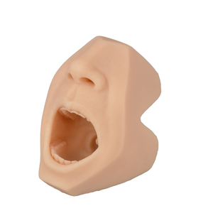 การฝึกปฏิบัติทางวิทยาศาสตร์การแพทย์ การพยาบาล การตรวจวินิจฉัยแอนติเจนในโพรงจมูกและโพรงปาก  แบบจำลองการใส่ไม้พันสำลีตรวจทางปาก - Product Image 4