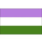 10Genderqueer  Flag