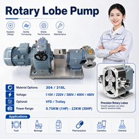 Pompe à rotor rotatif à lobes en acier inoxydable 304 316l de qualité alimentaire pour graisse, gel, sirop, shampoing, chocolat, liquide visqueux
