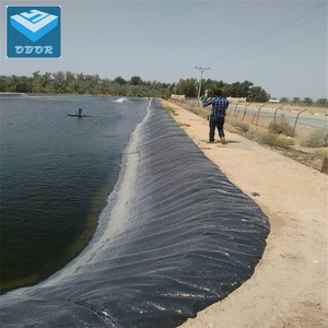 0.75mm 1mm 1.5mm cá trang trại ao lót đập lót HDPE geomembrane - Product Image 5